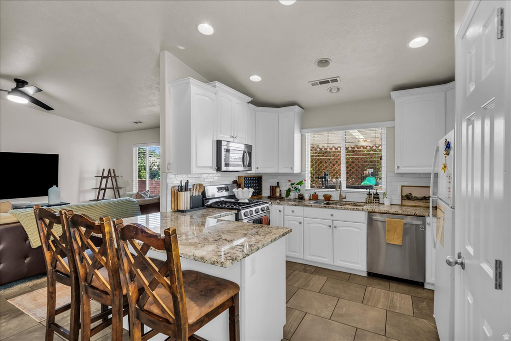 250 E ARROWWEED WAY photo 5