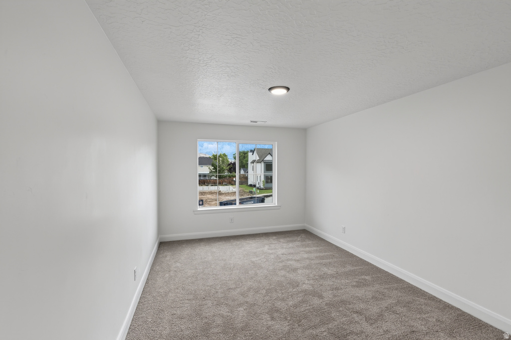 Room featuring a window with exterior views, neutral carpet flooring, white walls, and a ceiling-mounted light fixture