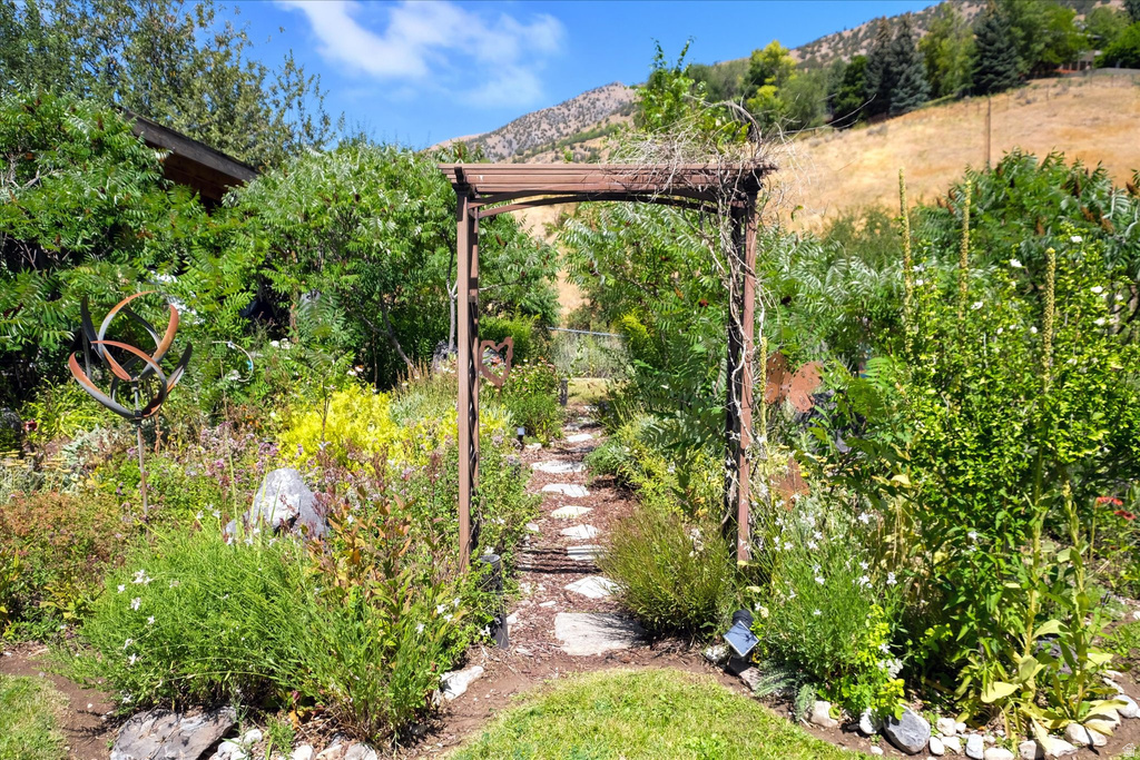 Garden pathway featuring a wooden arbor, stone stepping stones, and diverse plantings