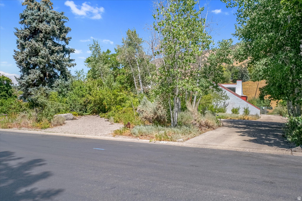 Paved street with multiple driveways, mature trees, and a mountain backdrop