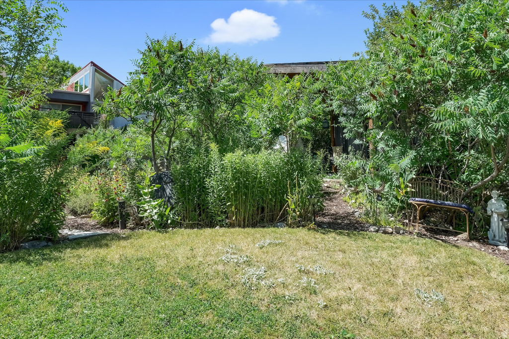 Yard