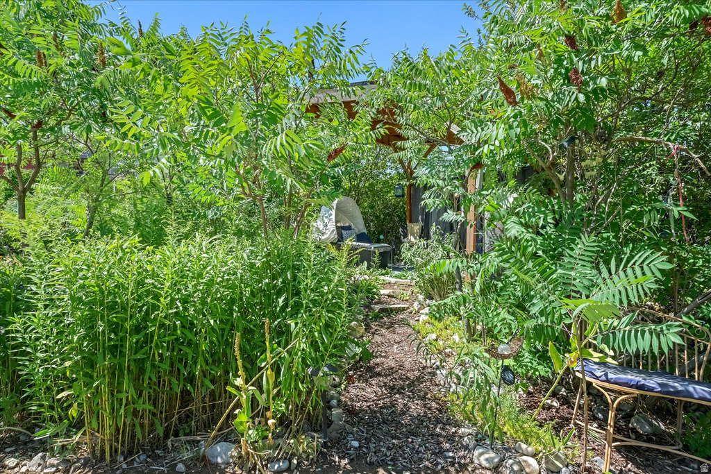 Private garden path with lush foliage and established trees