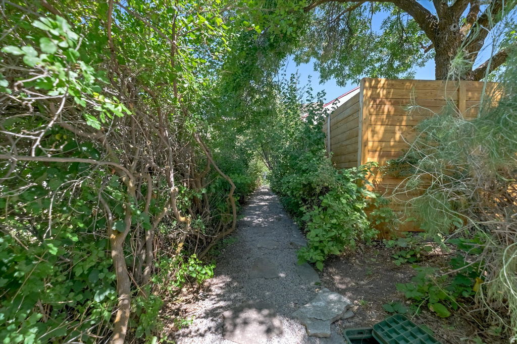 Gravel pathway framed by dense foliage and mature trees