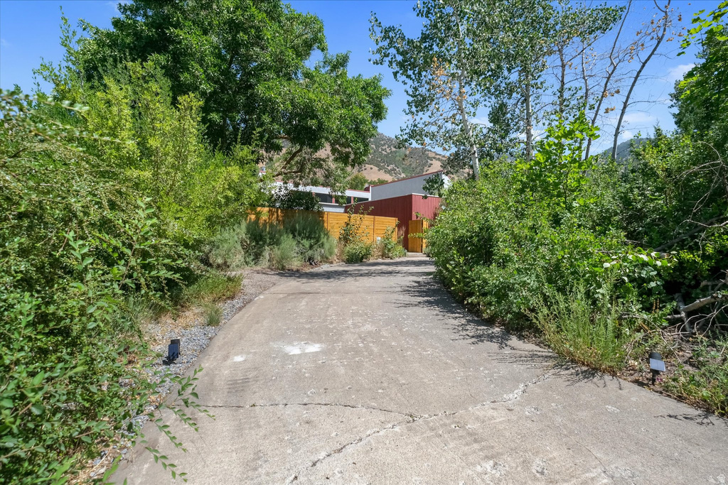 Concrete driveway framed by mature trees and lush vegetation, leading towards a red-sided structure with a wooden fence