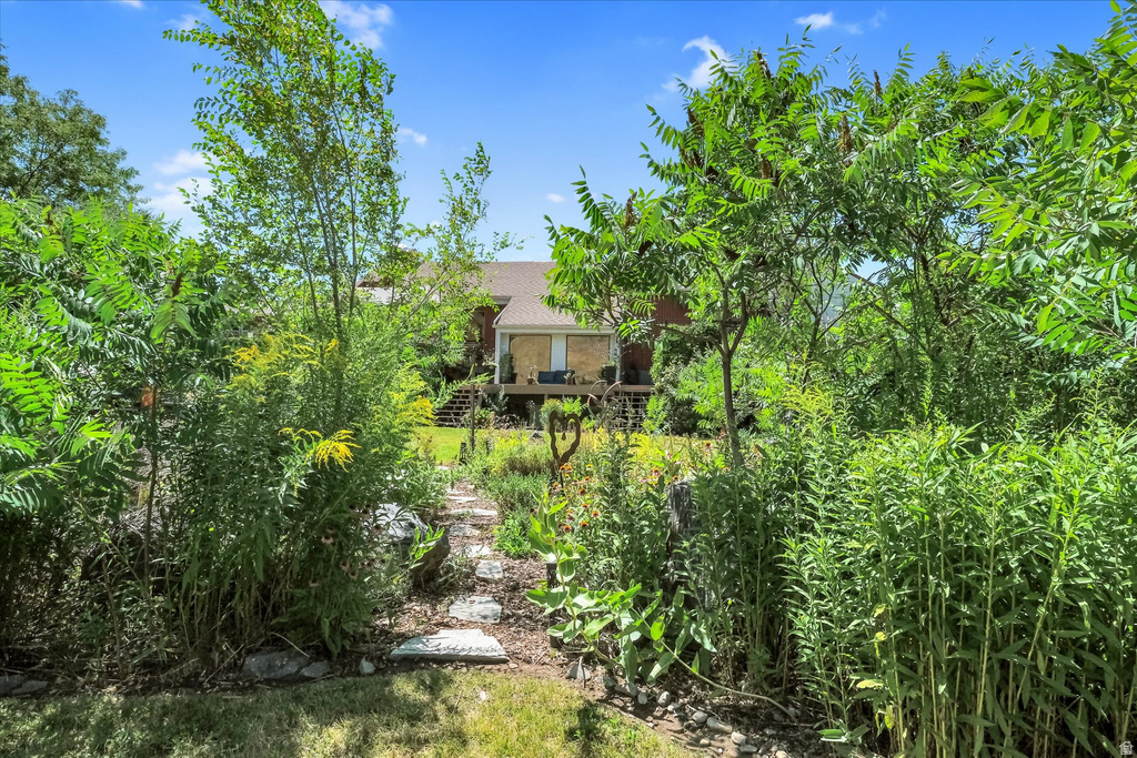 Expansive backyard path featuring natural stone pavers surrounded by mature plantings and diverse foliage