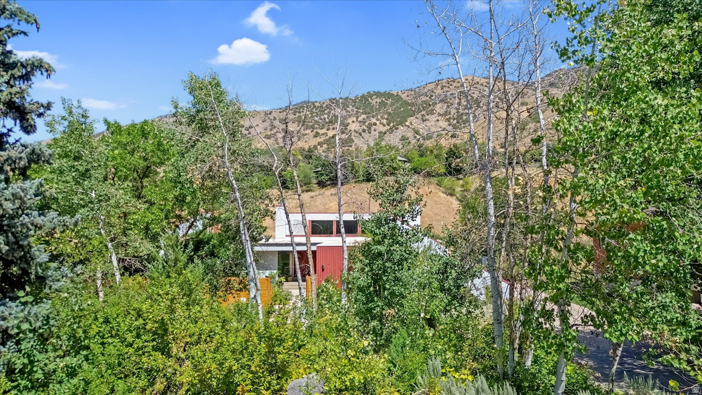 Modern architecture with a red accent panel and expansive windows, surrounded by mature trees and natural landscaping