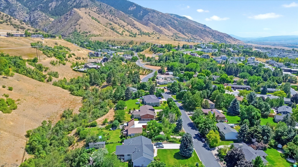 Expansive aerial perspective showcasing a residential area with mature tree coverage and mountainous terrain