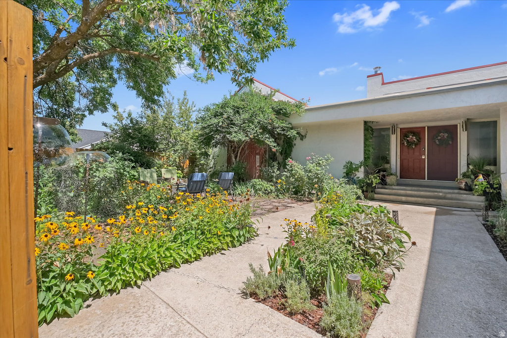 Entryway featuring a double-door entrance, concrete walkway, established landscaping, mature trees, and a stucco exterior