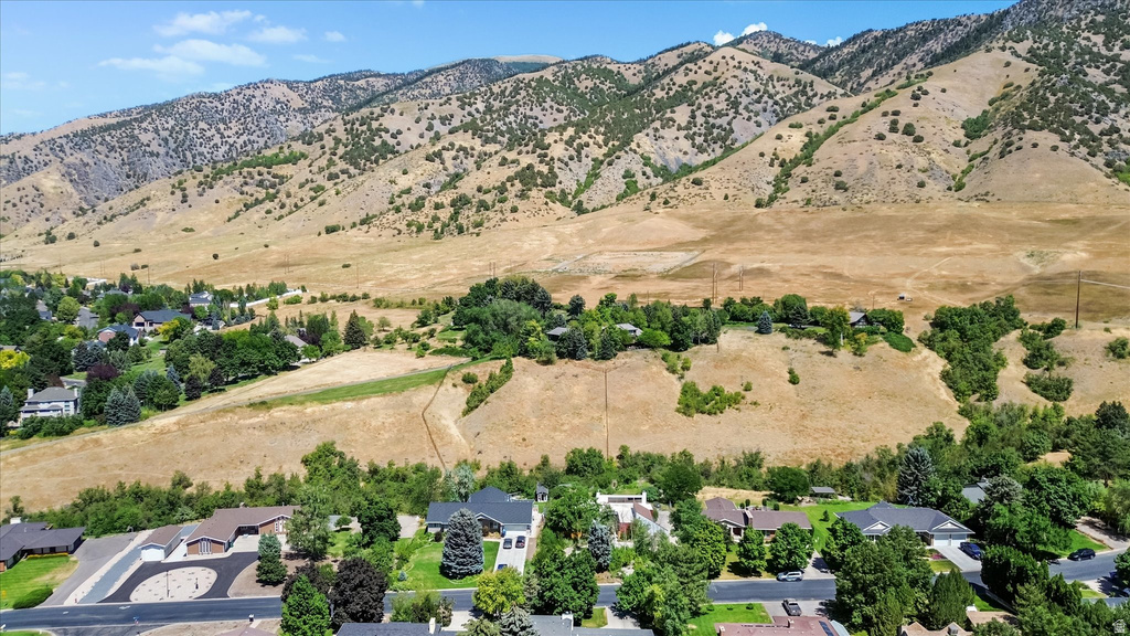 Expansive mountain landscape backdrop with residential properties nestled amongst mature trees