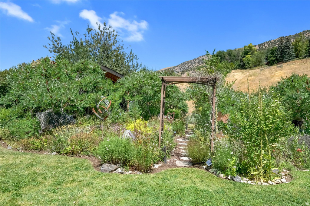 Garden pathway with stone steps and a wooden archway, surrounded by diverse plantings