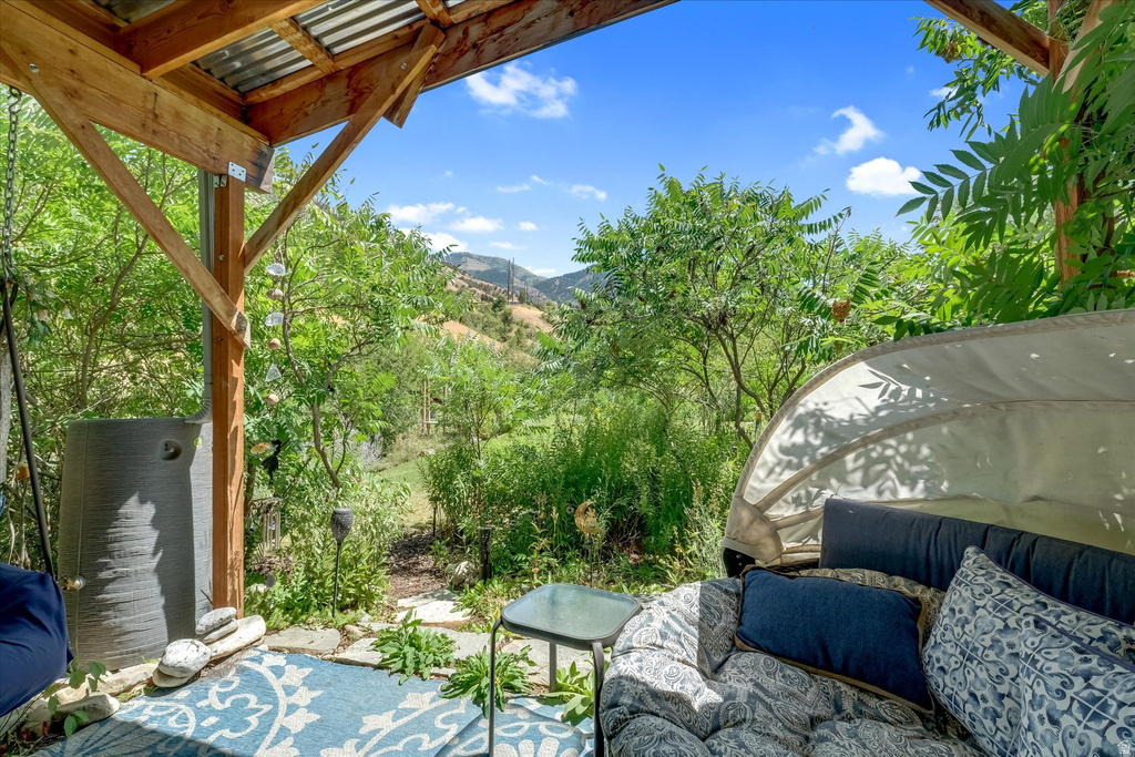 Covered patio with exposed wood beams and corrugated metal roofing