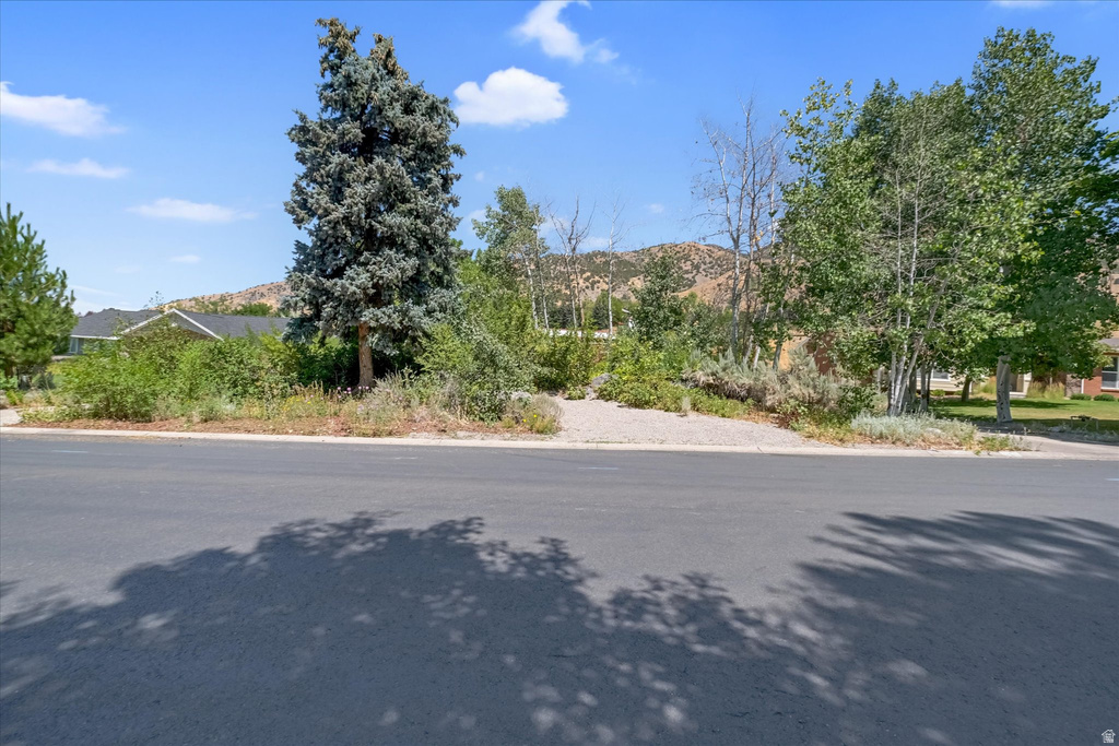 Paved street with a gravel shoulder, featuring mature trees and established shrubbery, with distant mountain scenery