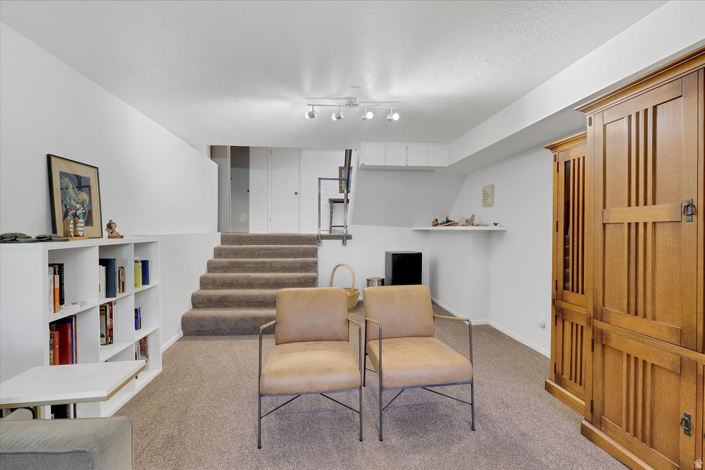 Carpeted lower-level room featuring a built-in white shelving unit, track lighting, and a floating wall shelf