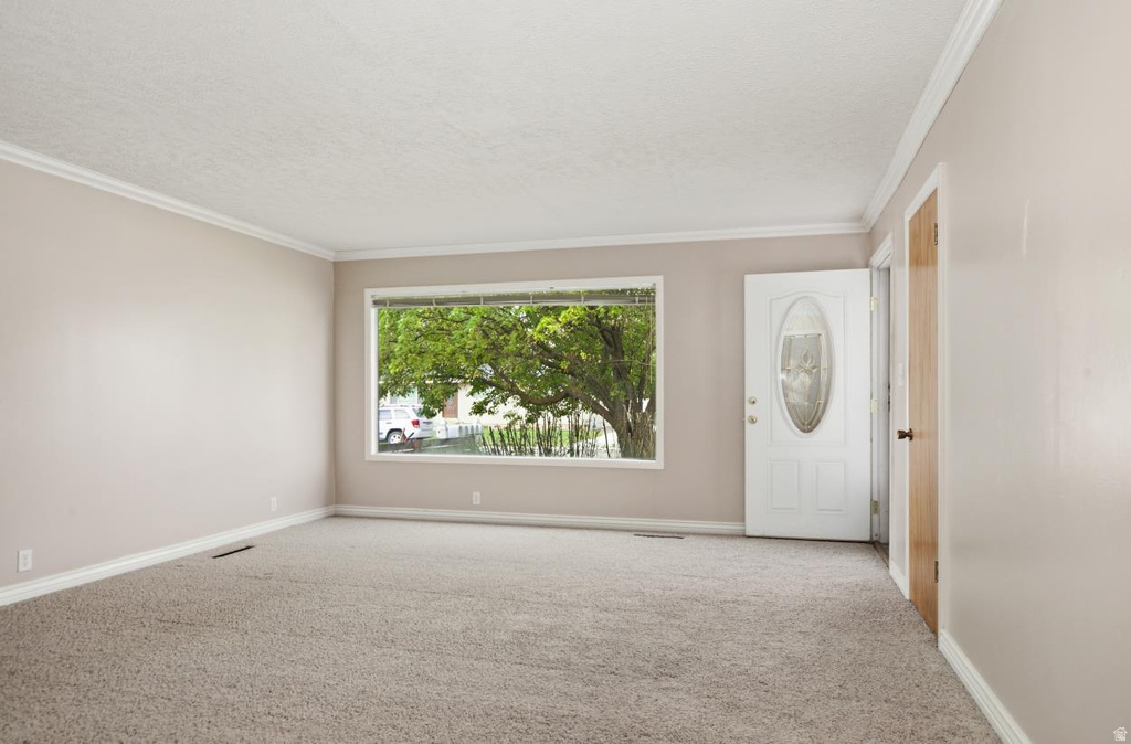 172 LARSEN DR photo 3