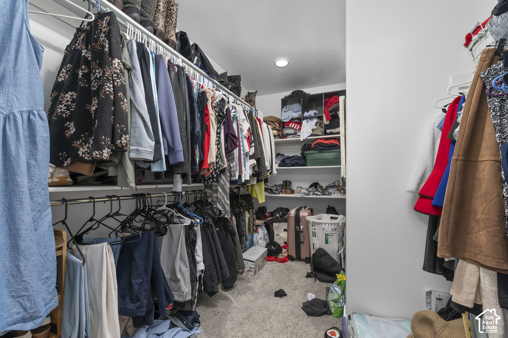 Built-in closet system featuring multiple hanging rods and shelving