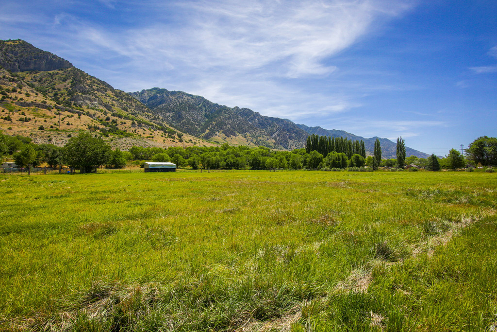 Expansive green field with natural terrain