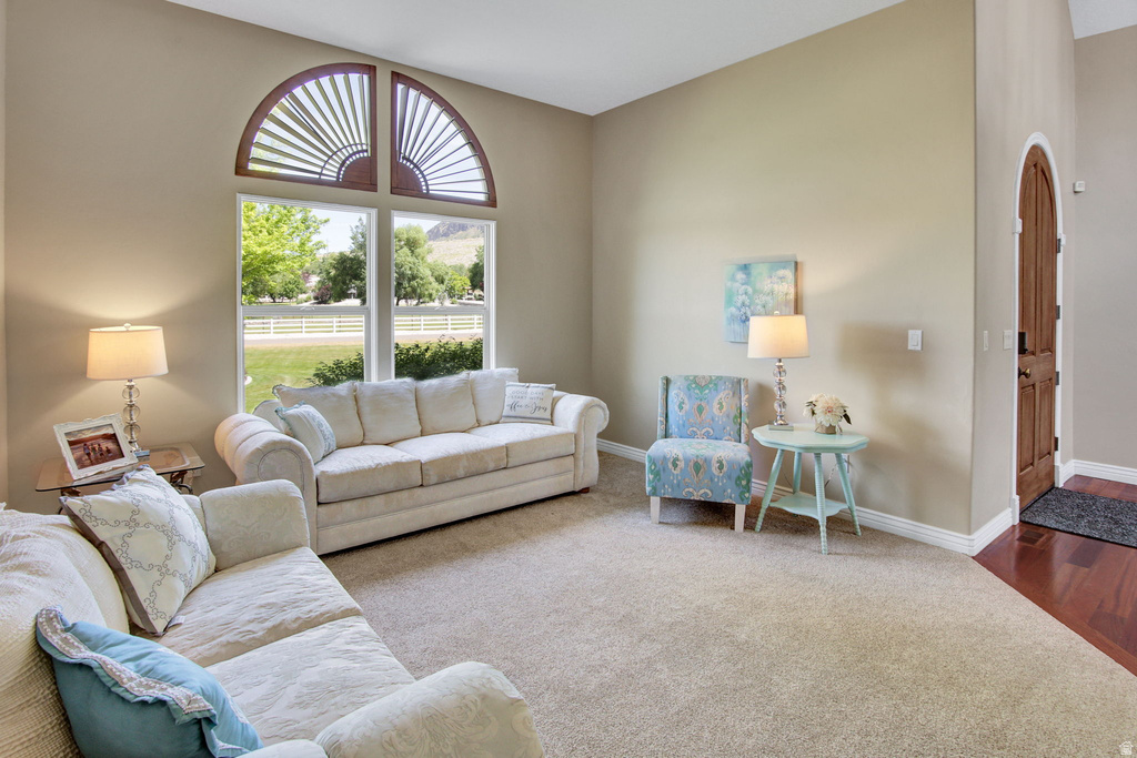 Spacious living area featuring a vaulted ceiling and a prominent arched window with louvered shutters