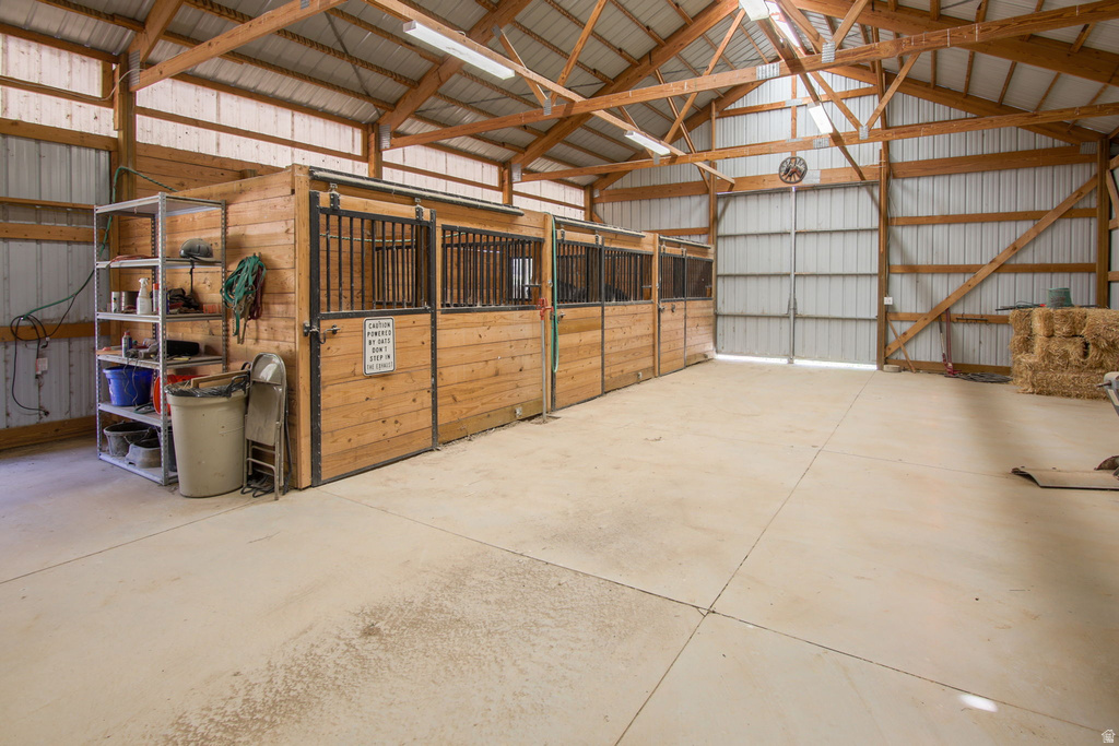 Spacious barn interior featuring multiple stalls with wood paneling and metal grates, a concrete floor, exposed wood beam framing, and corrugated metal siding