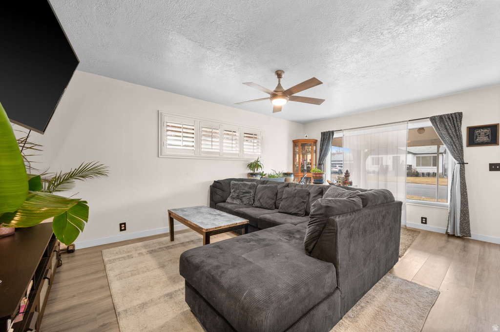 8628 W HELEN DR photo 3