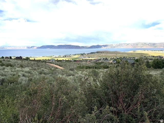 2454 Serviceberry Dr #91, Garden City, UT 84028