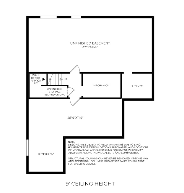 2809 N SALVIA DR photo 4