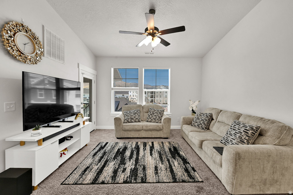 947 W CORAL CHARM WAY photo 5