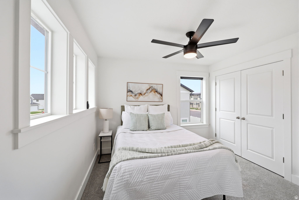 Light-filled room featuring a series of rectangular windows with white trim, a dark wood-toned ceiling fan with integrated lighting, and plush grey carpet