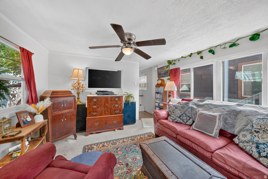 151 E HAMILTON LN photo 4