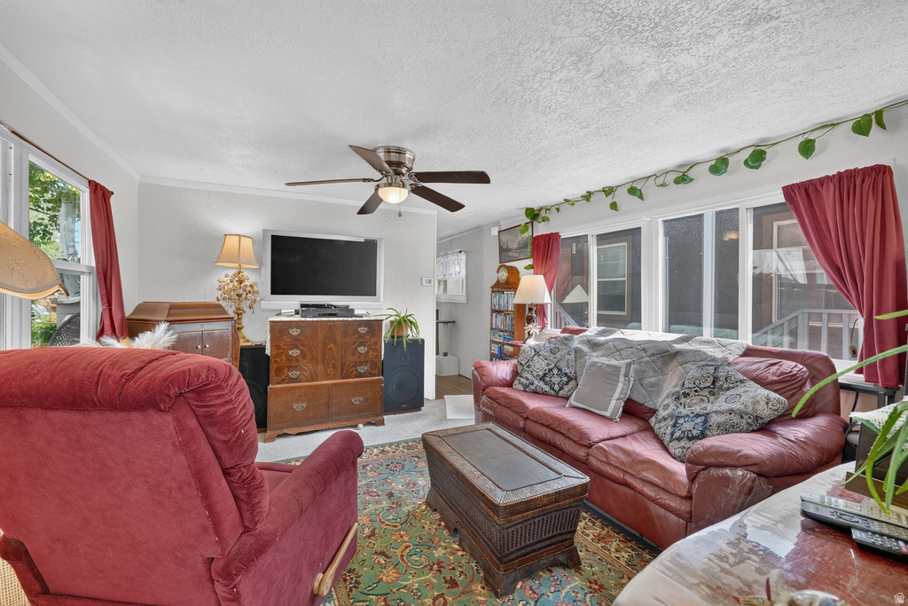 151 E HAMILTON LN photo 3