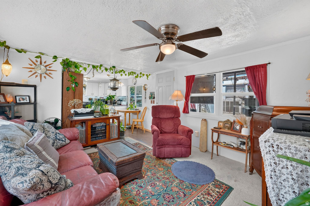 151 E HAMILTON LN photo 5