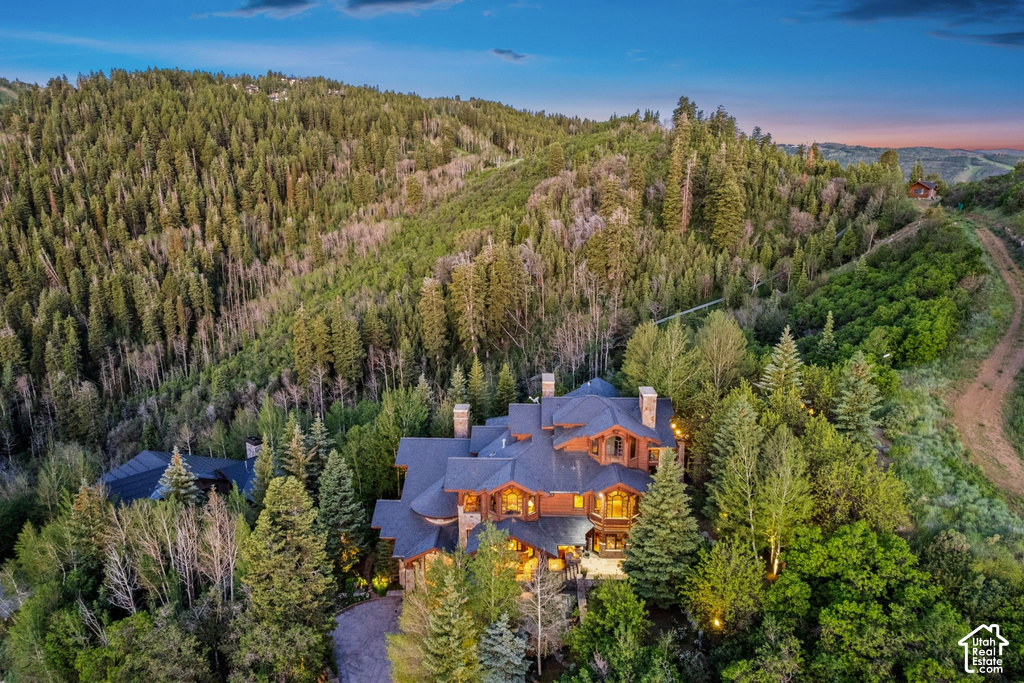 Expansive mountain estate surrounded by dense evergreen and deciduous trees