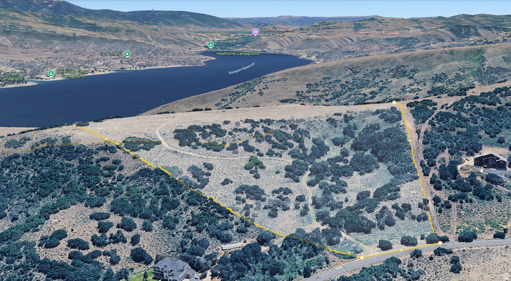 Expansive hillside lot with varied topography and mature vegetation