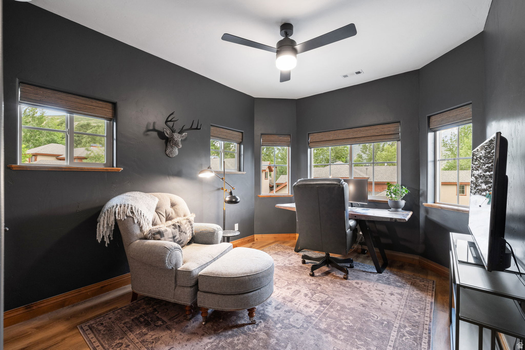 Dedicated room featuring wood-finish flooring, dark-toned walls, and multiple windows with woven Roman shades