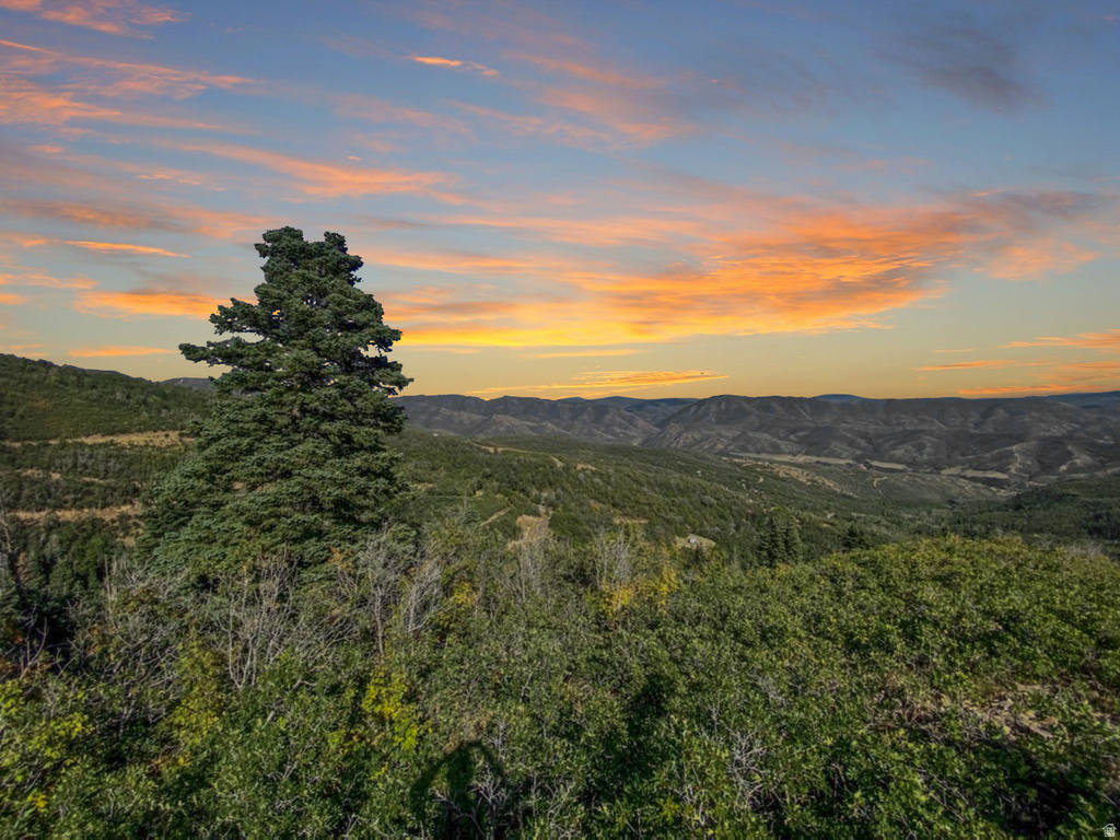 111 Upper Whittemore Dr #111, Springville, UT 84663