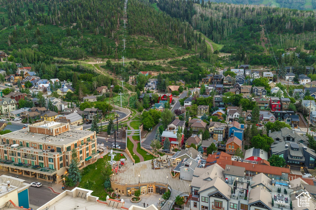 Aerial perspective showcasing a vibrant mountainside community with diverse architectural styles, surrounded by dense evergreen forests