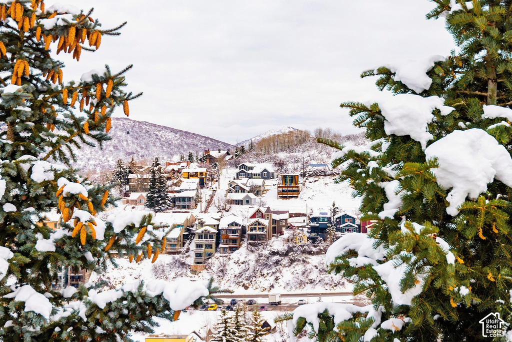Snow-draped hillside community featuring a collection of multi-story residences