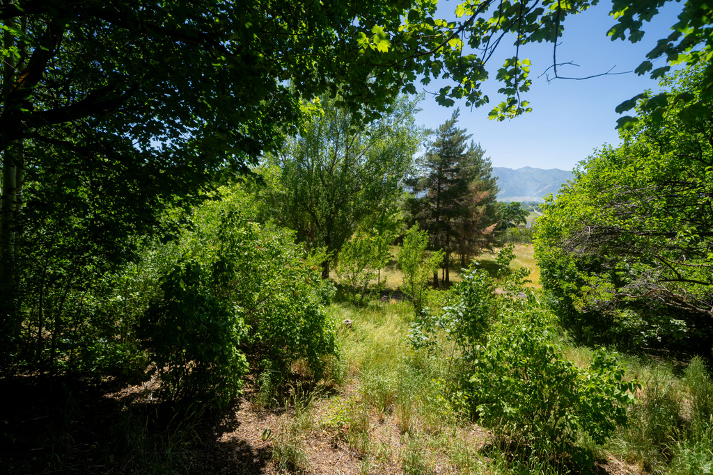 281 PANORAMIC DR photo 3