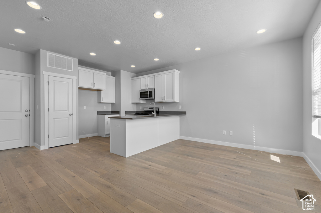 7776 W ALTA SPRINGS LN photo 4