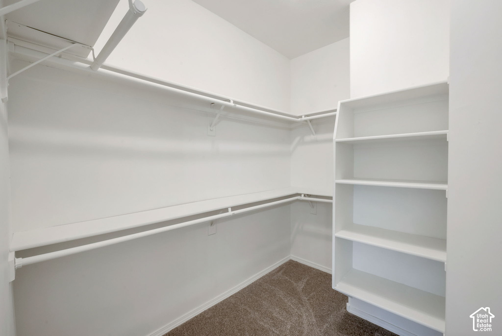 Walk-in closet featuring white wire shelving, hanging rods, built-in vertical shelving, and carpet flooring