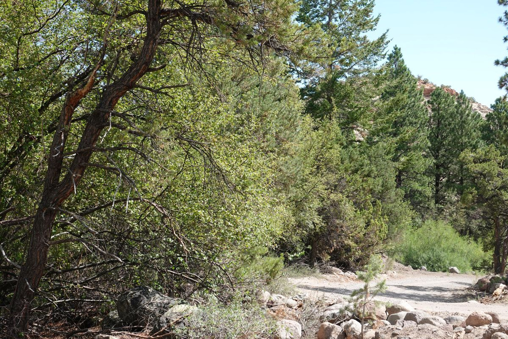 2500 S Birch Creek Rd, Teasdale, UT 84773