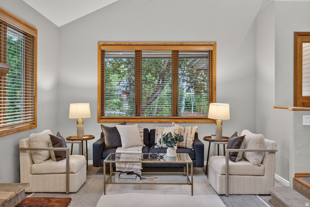 Vaulted ceiling living area featuring multiple windows with wood-frame trim and blinds, light gray wall paint, and carpet flooring
