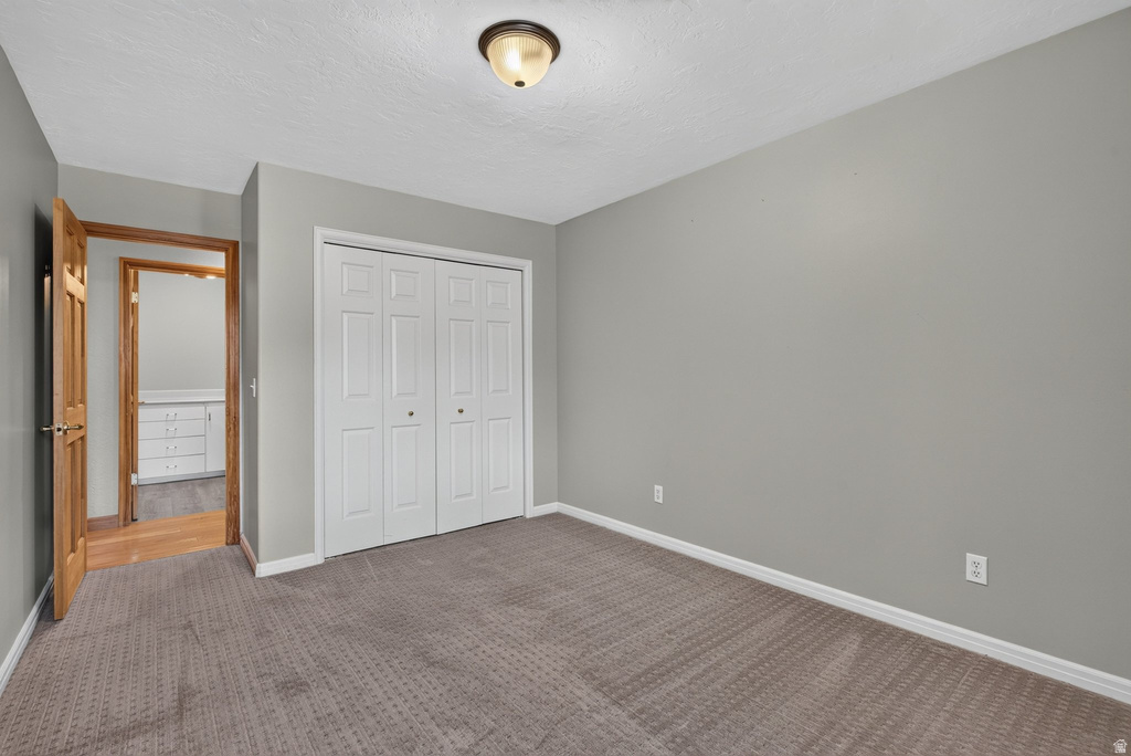Interior room featuring textured carpet flooring, light gray wall paint, and white baseboards