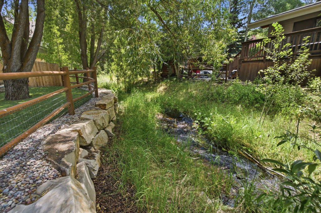 Natural stream featuring lush vegetation