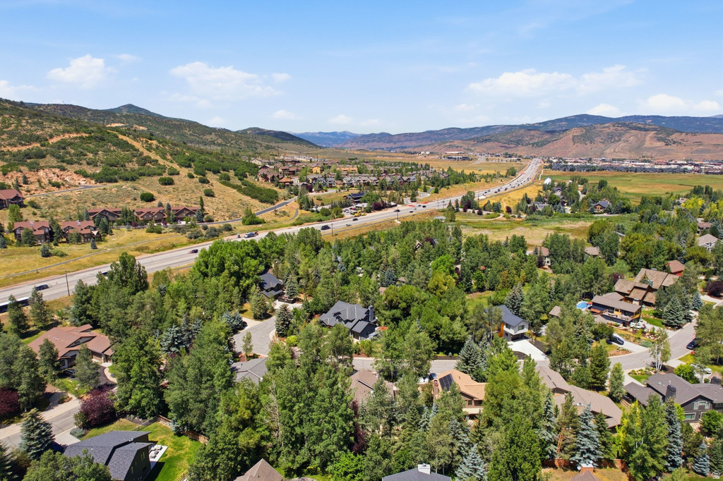 Aerial perspective showcasing a residential area nestled among mature trees