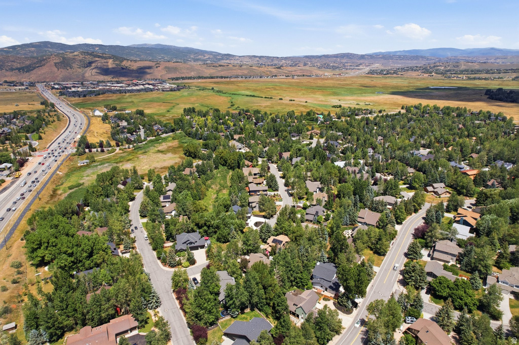 Expansive residential area featuring numerous mature trees and a paved roadway network