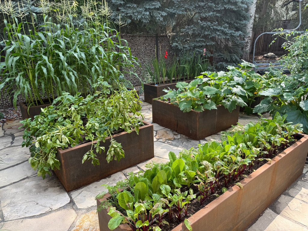 Hardscaped patio with multiple metal-finish raised garden beds, mature plantings, and a stone paver surface