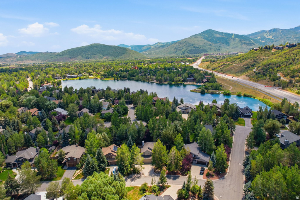 Aerial perspective showcasing a residential community nestled among mature trees
