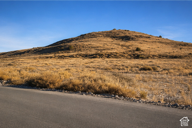 Expansive open land featuring rolling hills and natural vegetation