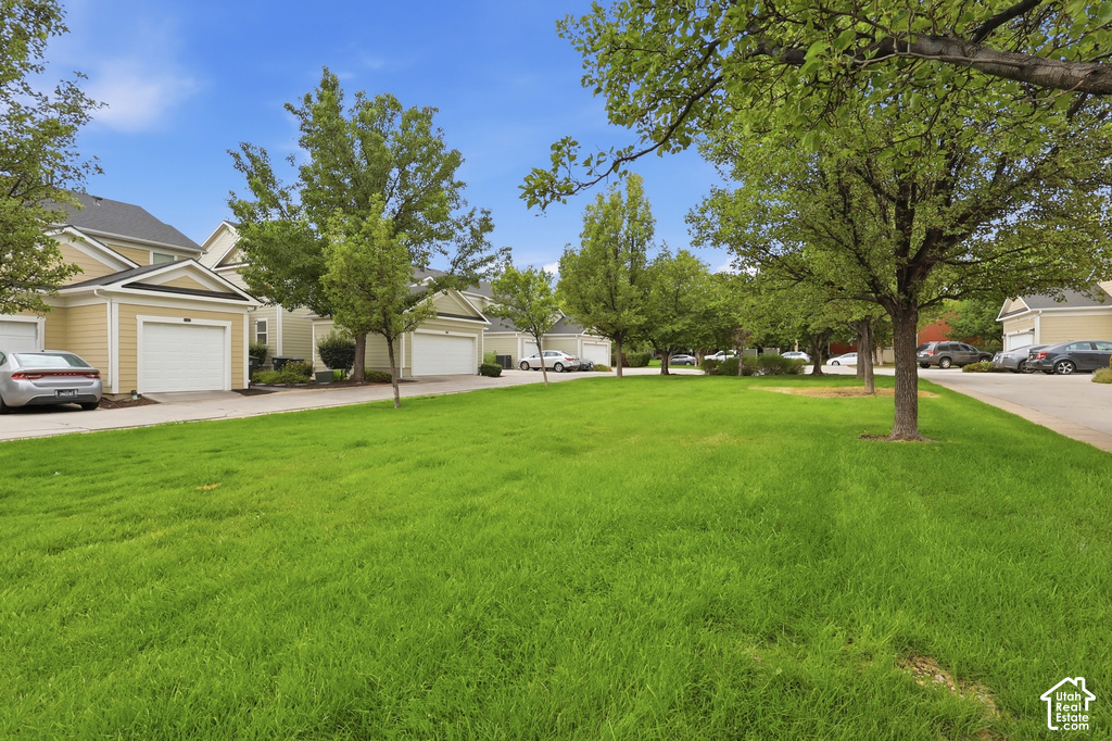 Expansive green space featuring mature trees and a manicured lawn