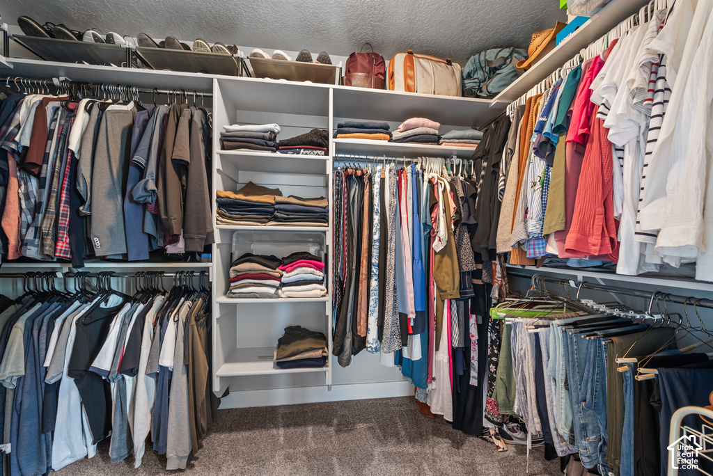 Walk-in closet featuring extensive built-in shelving, multiple hanging rods, and carpet flooring